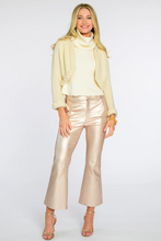 Load image into Gallery viewer, Metallic Roxy Jean