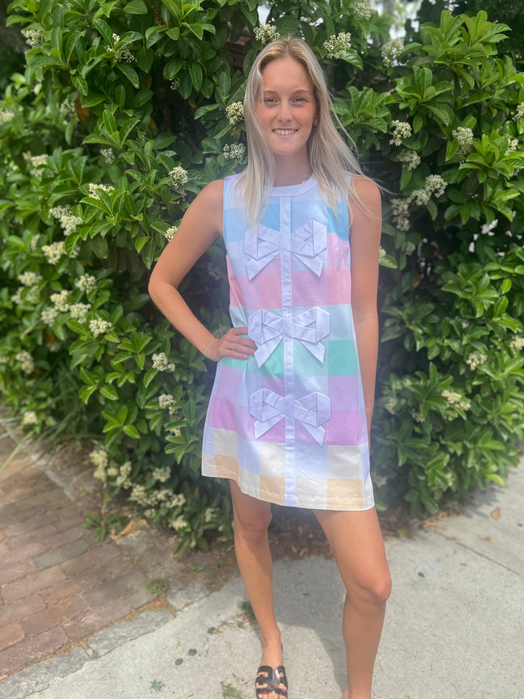 Prescott Ribbon Shift Dress